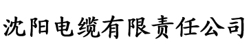 泥巴电缆厂logo